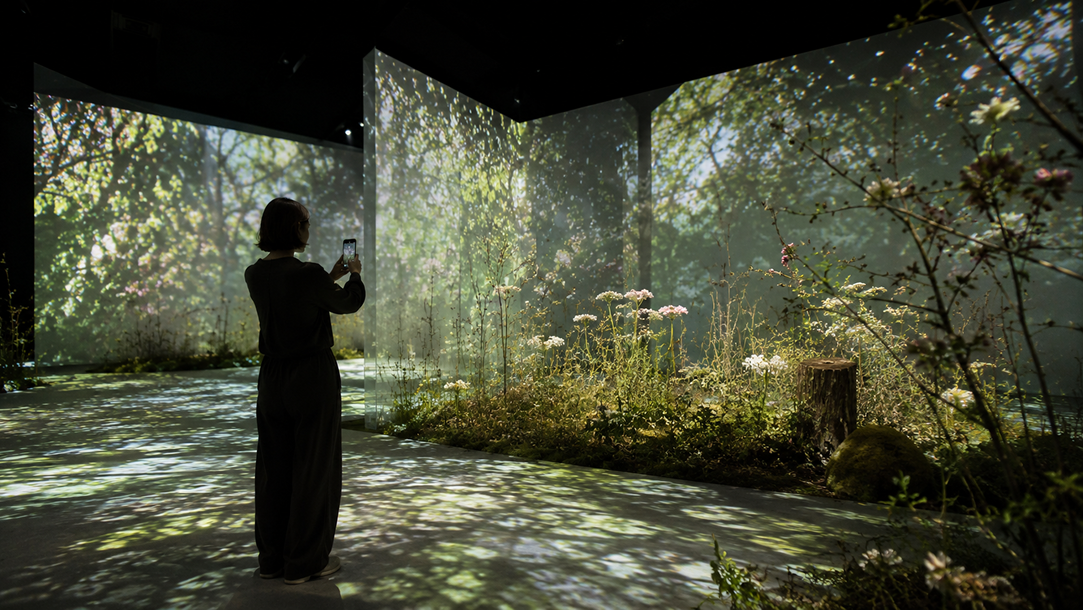 Visitor interacting with a bright floral projection environment.
